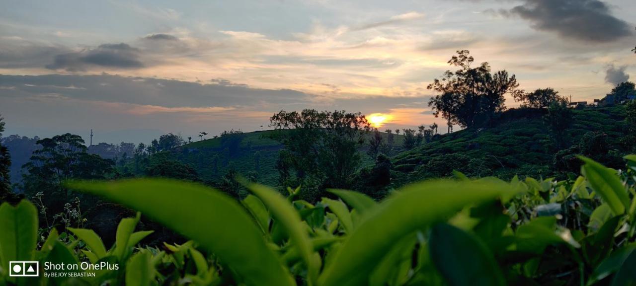 Chandys Windy Woods सहारा