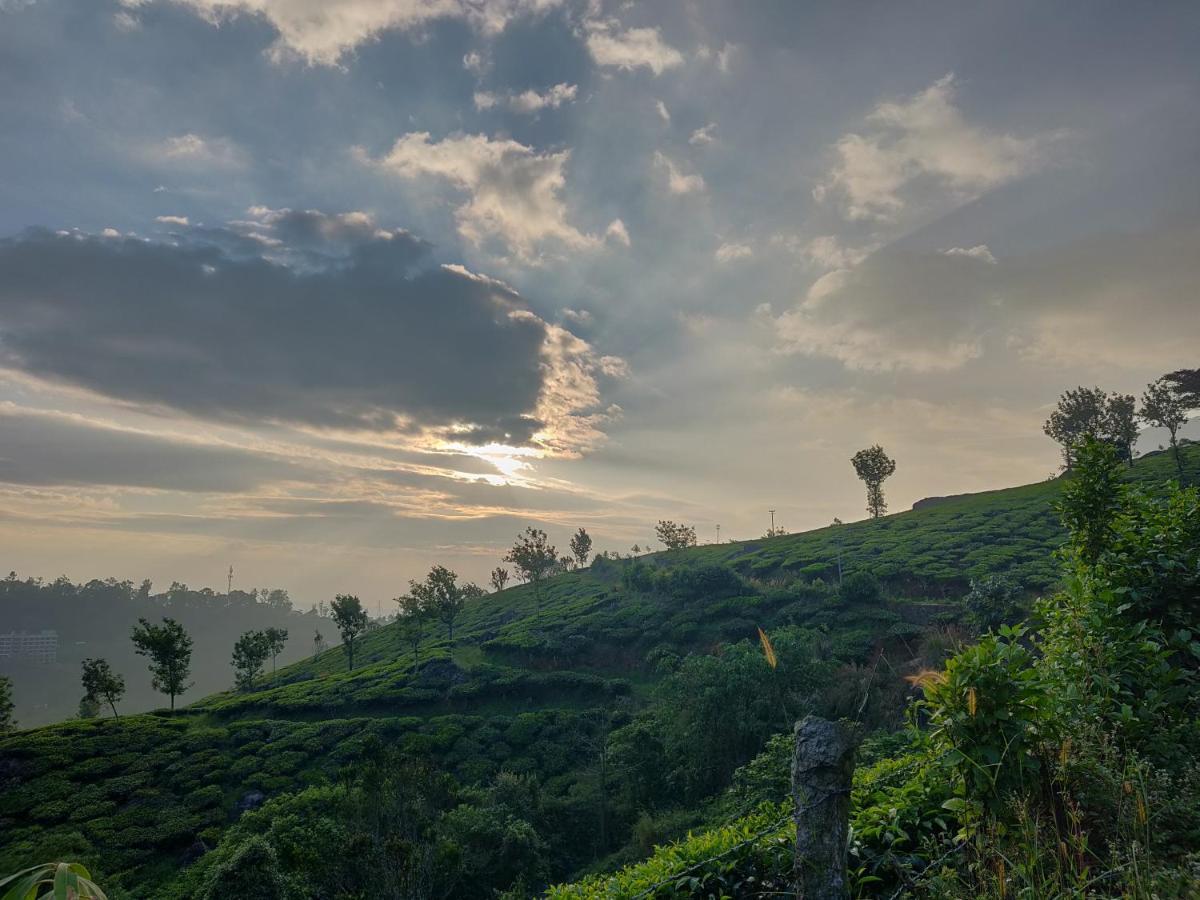 Chandys Windy Woods सहारा